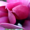 (c)2007 AEC ** ALL rights reserved