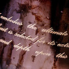 (c)2007 AEC ** ALL rights reserved