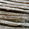 (c)2008 AEC **all rights reserved**