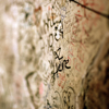 (c)2008 AEC **all rights reserved**