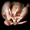 (c)2010 AEC *All Rights Reserved* (c)2010 AEC *All Rights Reserved*