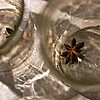 (c)2010 AEC *All Rights Reserved* (c)2010 AEC *All Rights Reserved*